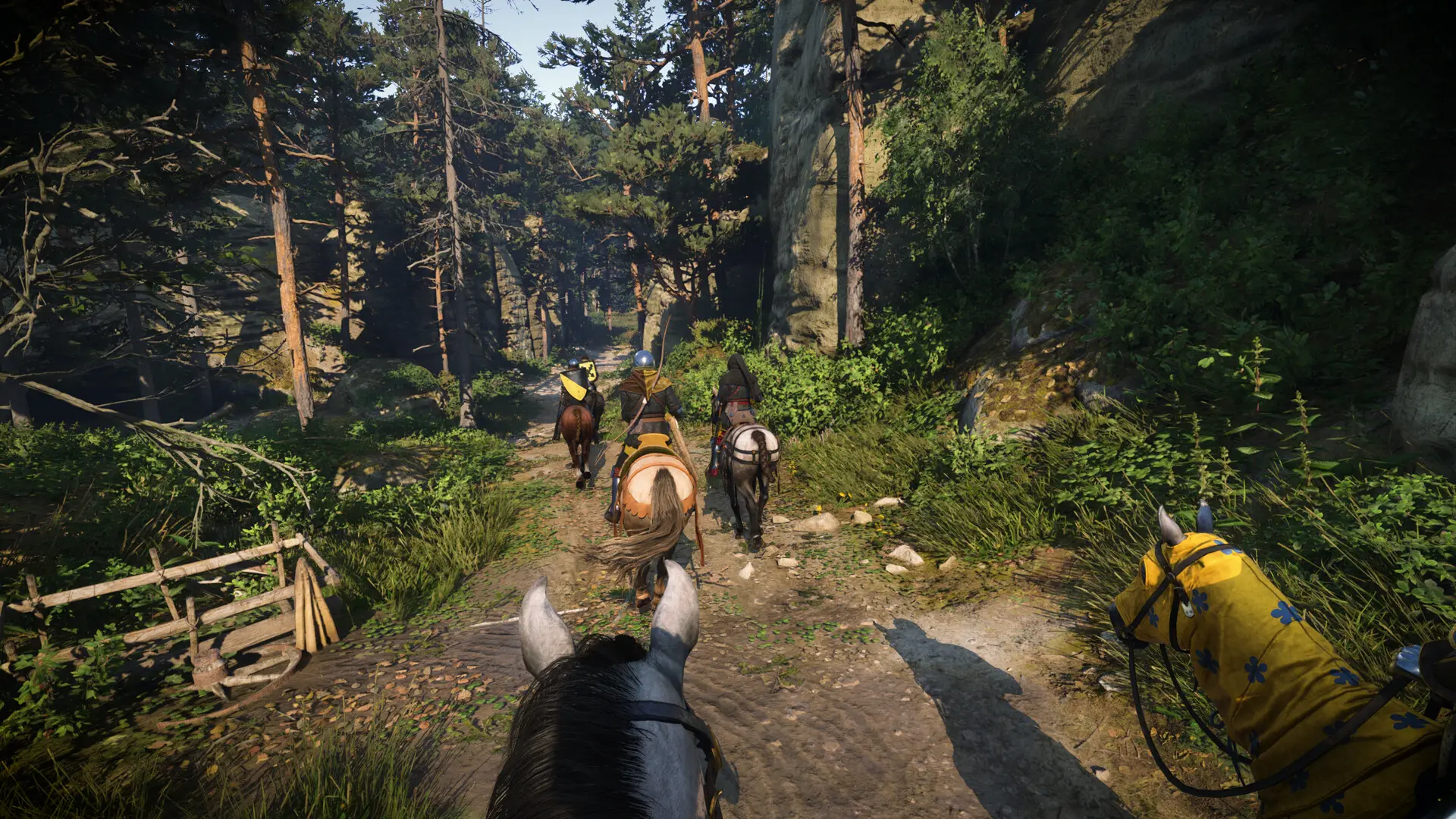 Riders on a forest road